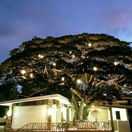Serviced Apartments By Eco Hotel Bohol Panglao Zewnętrze zdjęcie