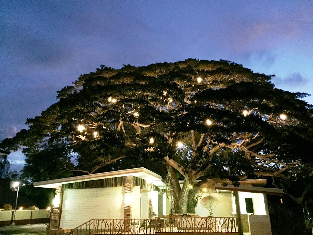 Serviced Apartments By Eco Hotel Bohol Panglao Zewnętrze zdjęcie